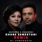 دانلود آهنگ خواب زمستانی (امان امان از غم بی رحم) “ریمیکس هوش مصنوعی” از هایده و محسن چاوشی